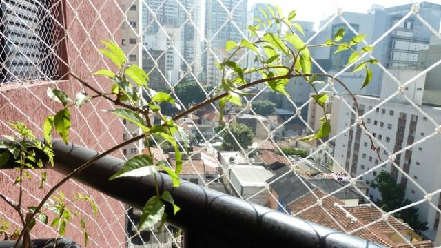 Apartamento à venda Rua Barata Ribeiro em São Paulo SP